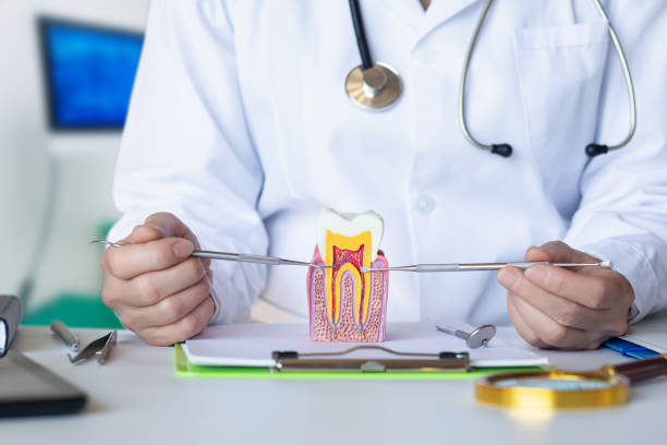 Best Emergency Denture Repair in Holly Hill, FL